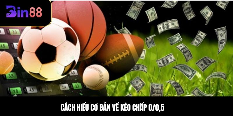Cách hiểu cơ bản về kèo chấp 0/0,5