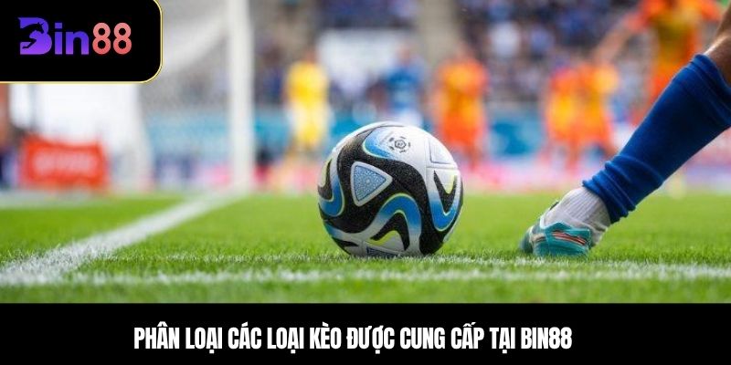 Phân loại các loại kèo được cung cấp tại BIN88
